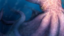 An artist's impression of how the giant octopus would have looked