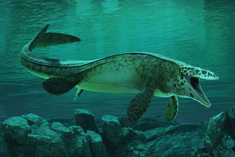 A reconstruction depicts Tylosaurus rex in the Western Interior Seaway of North America during the Cretaceous Period.
