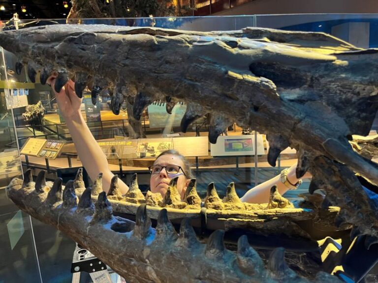 Amelia Zietlow, the new study's lead author, examines the Tylosaurus rex holotype skeleton in 2023 at the Perot Museum.