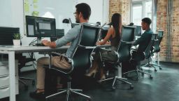 Office routine. Back view of young employees working on computers while sitting at desk in modern open space. Job concept. Workplace