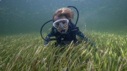 Sylvia Earle 2