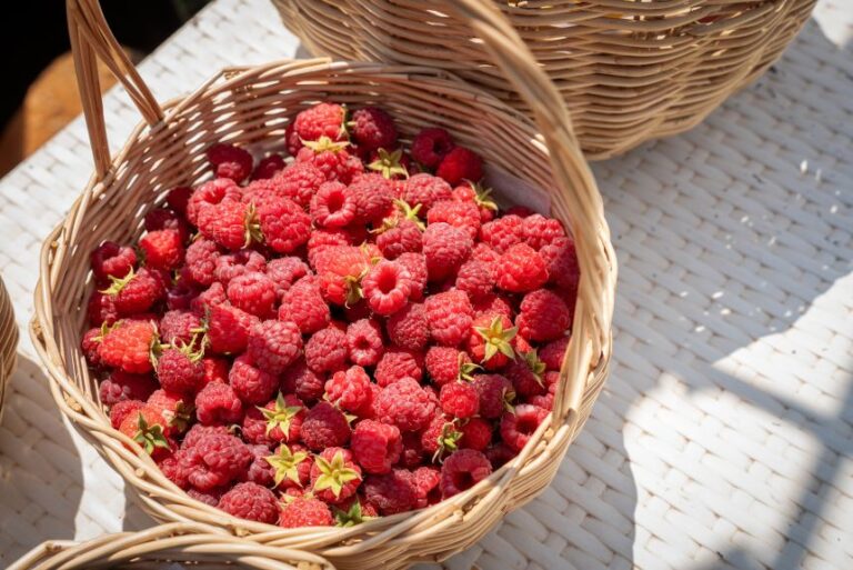 Raspberries carry much smaller doses of pesticides than other berries but should still be washed.