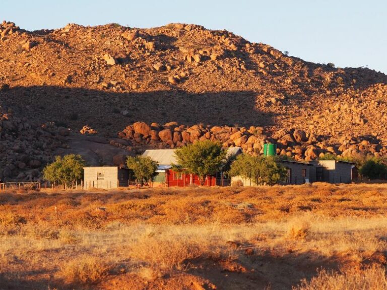 Scientist conducted the bioacoustic experiment at Succulent Karoo Research Station in South Africa's Goegap Nature Reserve.
