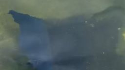 22730233 - reflecting pool object.00_00_11_21.Still001.jpg