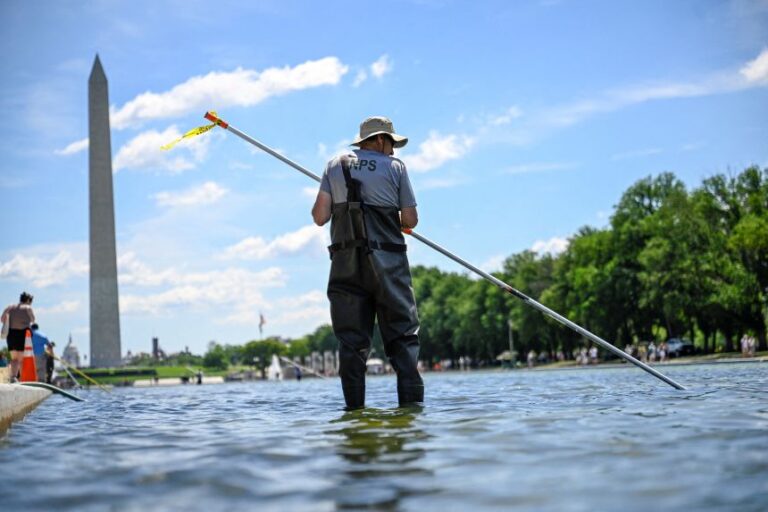 A US National Park Service employee works to remove algae on June 20.