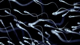 Spermatozoa, view under a microscope, illustration of the appearance of spermatozoa.