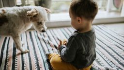 Full Length Of Cute Boy And Dog At Home
