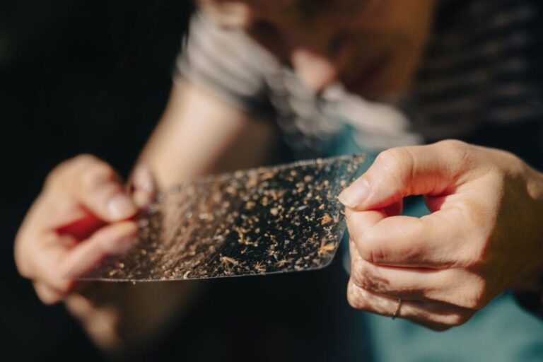 The Itty Bitty Mosquito Population Committee doesn't yet have hard data to show that the bug situation is improving, but Michelle Mingrone says she can tell the difference from last year.