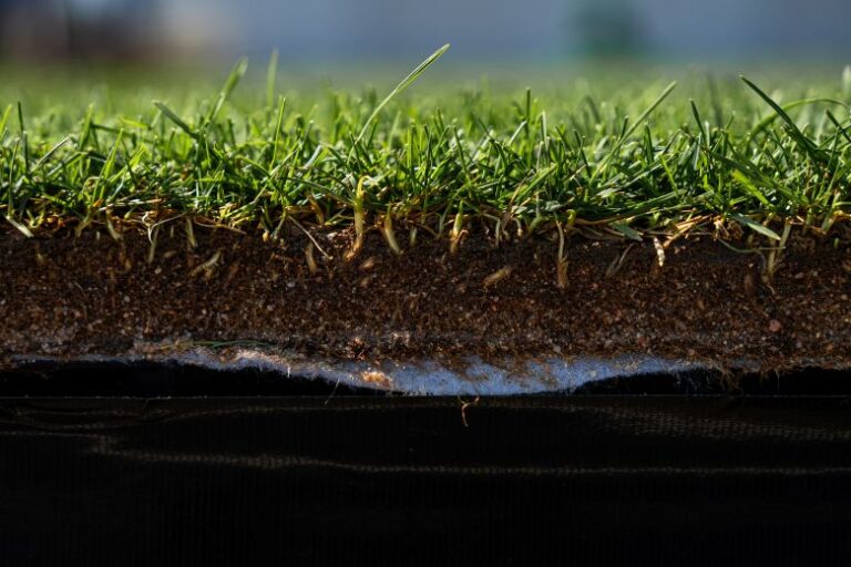 The turf used for the World Cup pitches is grown on plastic so it can easily be transported.