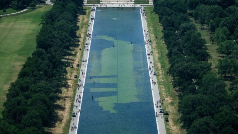 In an aerial view from the Washington Monument, crews remove algae from the bottom of the Lincoln Memorial Reflecting Pool after recent renovations following a directive from U.S. President Donald Trump to paint it blue ahead of the 250th anniversary of US independence, in Washington, DC, on June 19, 2026.