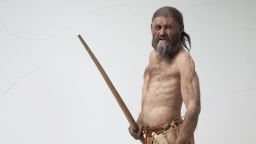 Reconstruction of the Iceman by Alfons & Adrie Kennis.