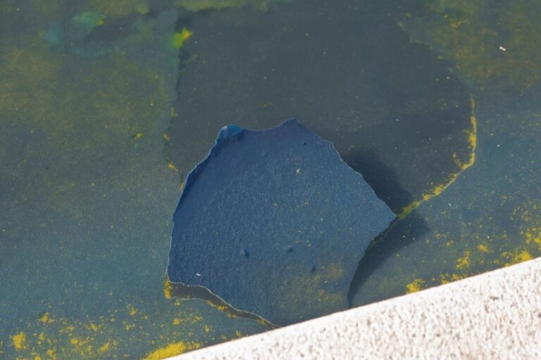 A piece of the blue coating floats among algae at the Lincoln Memorial Reflecting Pool on June 21.