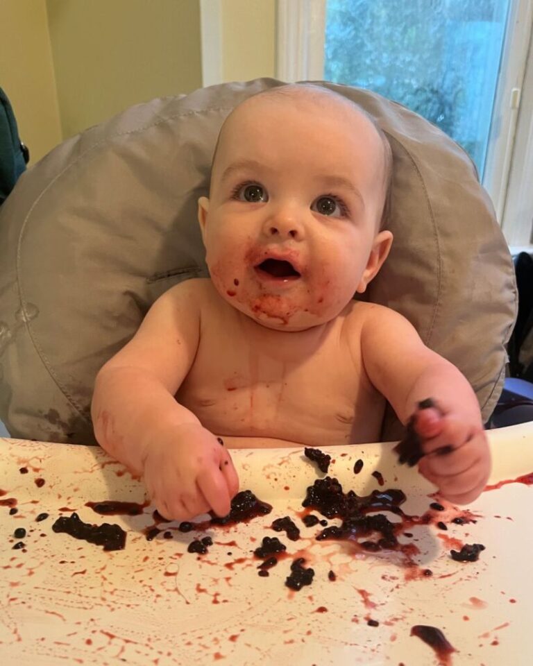 Blackberries were an instant first food hit with my grandson.
