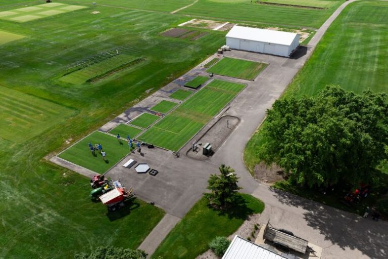 Researchers, professors and students from Michigan State University and the University of Tennessee have engineered the turf for the World Cup.
