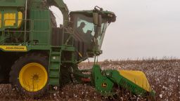 A farmer operates a cotton stripper during a cotton harvest on a farm near Corn, Oklahoma, US, on Wednesday, Nov. 19, 2025.