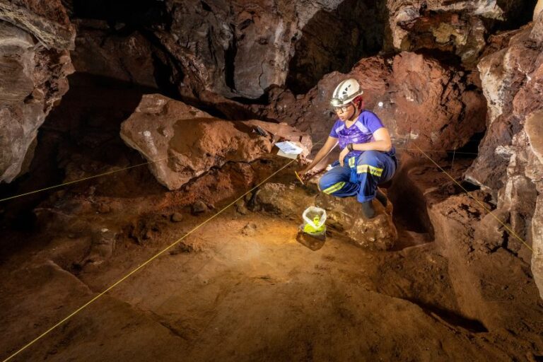 Most of the fossils were unearthed by a team of female researchers, including Keneiloe Molopyane pictured here.