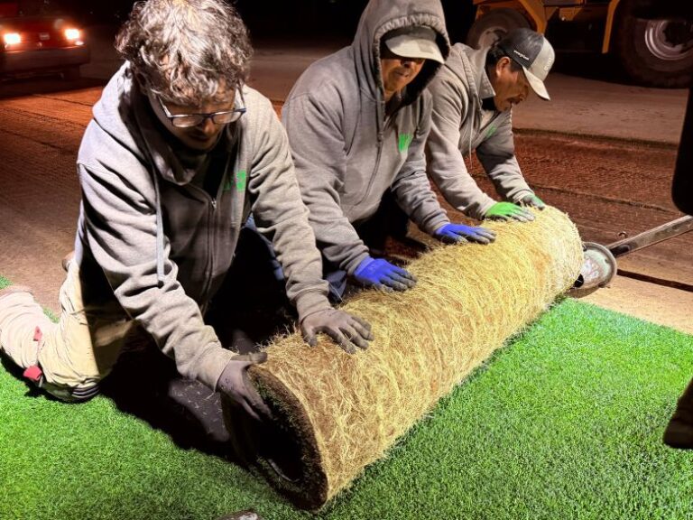 Harvesting the grass is an intensive process.