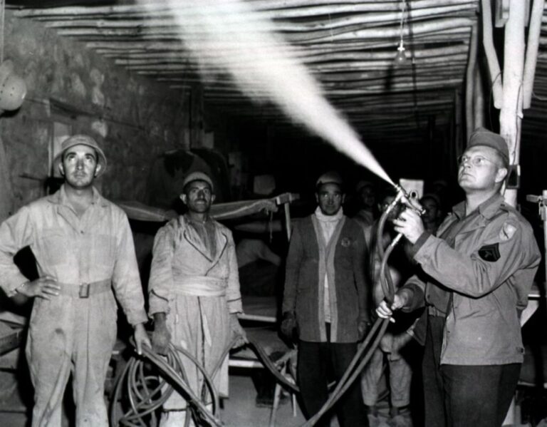 The pesticide DDT was hailed as a miracle mosquito killer in the 1940s, when it was deployed during World War II, but later banned for most uses by the US Environmental Protection Agency.