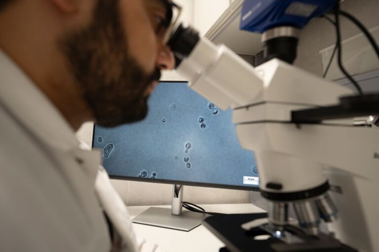 Sarhan examines yeast cells under a microscope<em>.</em>