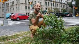 Robin Greenfield forages outside of Central Park.