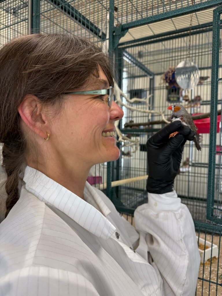 Julie Elie of UC Berkeley has studied zebra finches in the wild and in captivity.