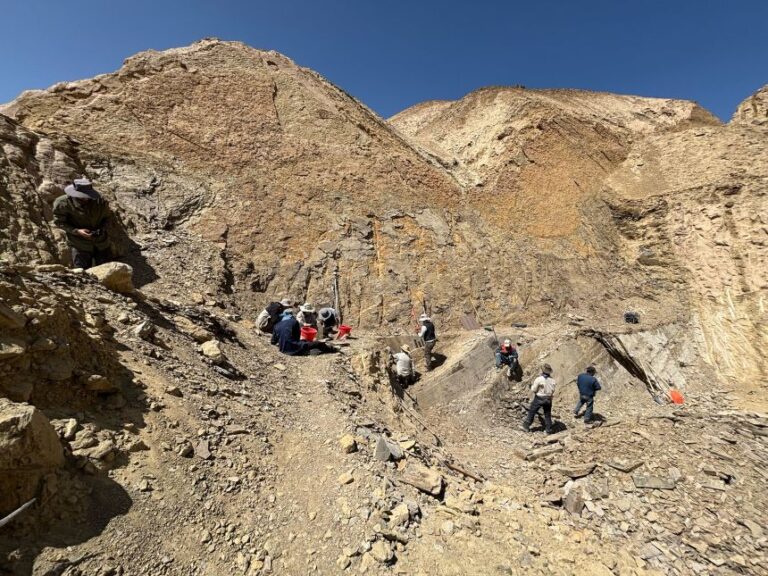 Researchers work in a quarry at the Changma Basin.