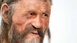 A statue representing an iceman named Oetzi, discovered on 1991 in the Italian Schnal Valley glacier, is displayed at the Archaeological Museu of Bolzano on February 28, 2011 during an official presentation of the reconstrution. Based on three-dimensional images of the mummy's skeleton as well as the latest forensic technology, a new model of the living Oetzi has been created by Dutch experts Alfons and Adrie Kennis.
AFP PHOTO / Andrea Solero (Photo credit should read Andrea Solero/AFP/Getty Images)