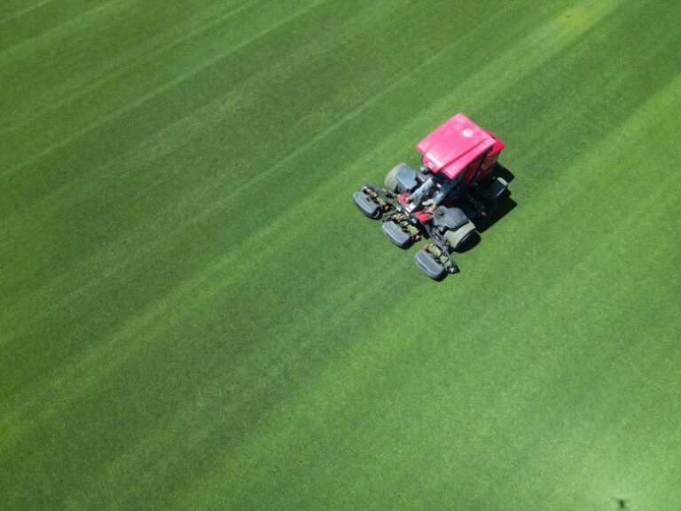 The grass for World Cup stadiums in Atlanta, Houston and Dallas was grown in Colorado.