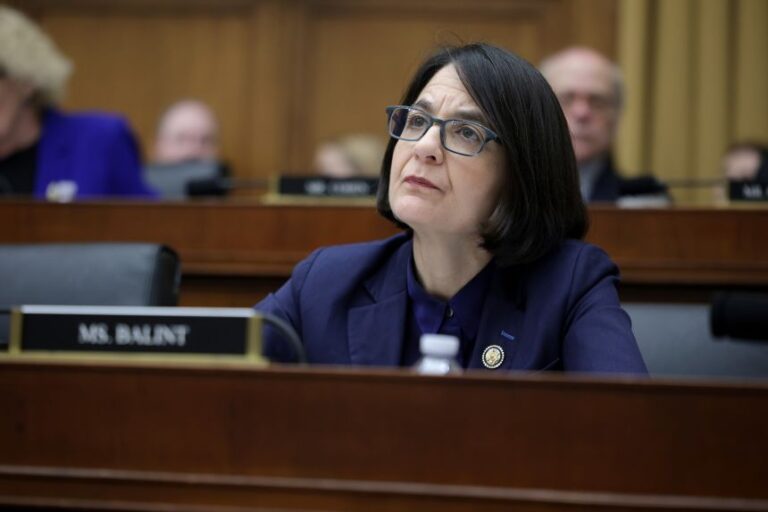 Rep. Becca Balint during a House Judiciary Committee hearing in the Rayburn House Office Building on February 11.