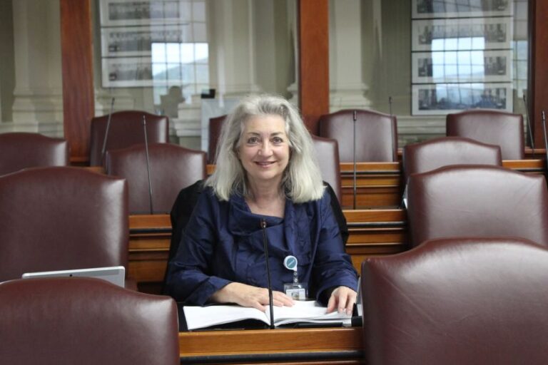 Rep. Valli Geiger.