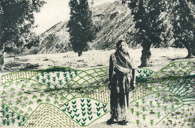 A digital collage created by Payal Kakkar, winner in the Climate Change category for project