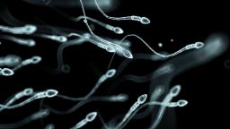 An illustration depicting human sperm