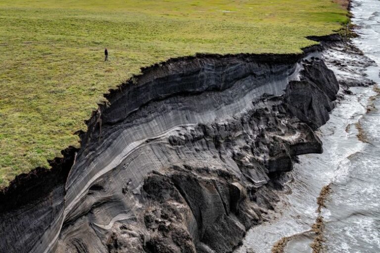 Natalya Saprunova won the New Scientist Editors Award for her documentation of permafrost thawing and coastal erosion in Canada’s Northwest Territories.