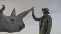 “The Last Rhinos: A New Hope” follows the fight to save the northern white rhino from extinction. Pictured here, head rhino caregiver Zacharia Mutai shares a moment with Najin, one of the last two northern whites in existence. Northern white rhinos once thrived across Central Africa, but decades of poaching and civil war slowly erased them from their natural habitat.