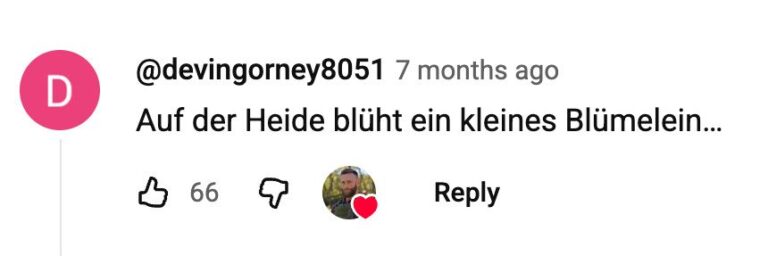 A like from David Alan Scheer II, on a German-language comment under one of his YouTube video, quoting a 1930s marching song called “Erika” that was co-opted by the Nazis.