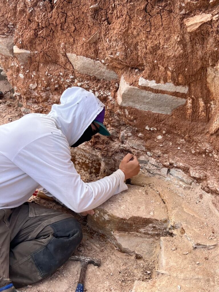 Researchers worked in the Flinders Ranges and surrounding region of South Australia.