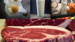 Thumbnail 3_Too Much Protein0.png
