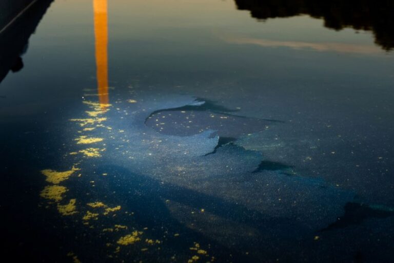 Chipped paint and algae are visible in the Lincoln Memorial Reflecting Pool, after recent renovations following a directive from President Donald Trump to paint it blue ahead of the 250th anniversary of US independence, in Washington, DC, on June 21.