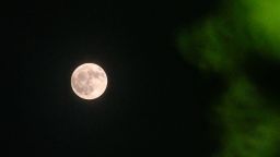 The buck moon rises through clouds and tree branches in West Bengal, India, on July 10, 2025.