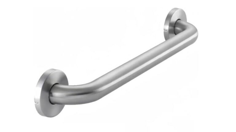 Raemnaky Store Stainless Steel Grab Bar