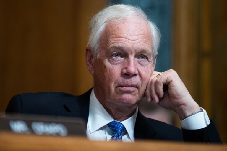 Sen. Ron Johnson attends a Senate Budget Committee meeting on May 20.