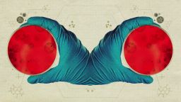 20251008-science-mirror-cells-1.jpg