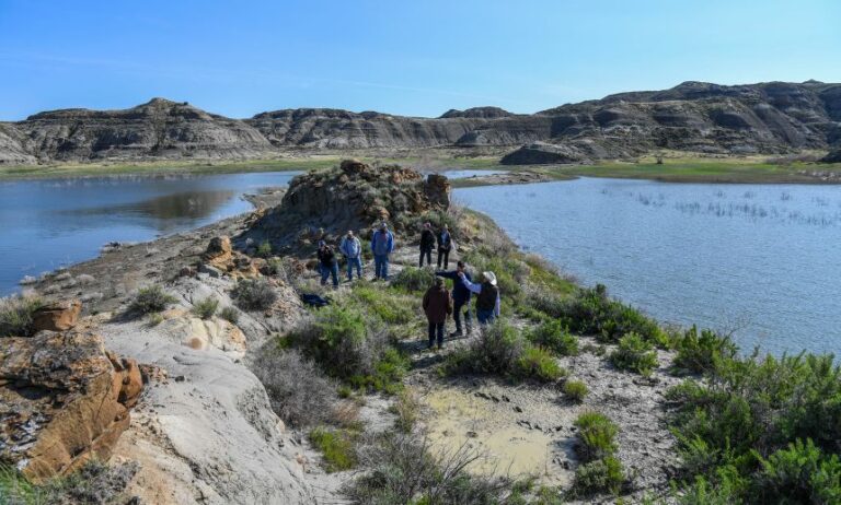 A site of a fossil discovery in Hell Creek Formation in Montana, an area synonymous with T. rex fossils.
