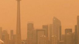 Ontario Smokey Haze CLN.jpg