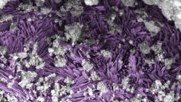 Researchers identified salt minerals in the Bennu samples that were deposited as a result of brine evaporation from the asteroid’s parent body. In particular, they found a number of sodium salts, such as the needles of hydrated sodium carbonate highlighted in purple in this false-colored image – salts that could easily have been compromised if the samples had been exposed to water in Earth’s atmosphere.
