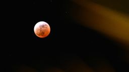 A partial lunar eclipse is seen above the fronds of a palm tree during the Blood Moon Lunar Eclipse in Palm Springs, California, on March 13, 2025. (Photo by Patrick T. Fallon / AFP) (Photo by PATRICK T. FALLON/AFP via Getty Images)