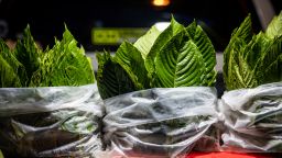 Kratom leaves on sale at a market on October 17, 2021 in Bangkok, Thailand.