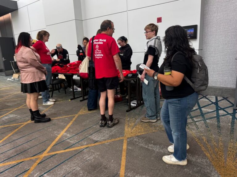 DSA members attend a lakefront convention in Chicago