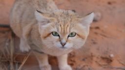 eaa41de8-2fa1-4a26-be5f-b2ccdd09977d.jpg
