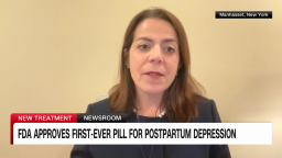 exp fda zuranolone postpartum kinkade intv deligiannidis 080505ASEG1 cnni health _00002001.png